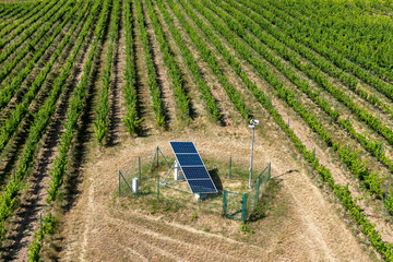 Solar panel installation in vineyard rows in Tokaj wine region, Slovakia. Sustainable energy system surrounded by green grapevines on a sunny day.