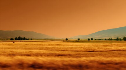 Obraz premium Human eye view of countryside landscape experiencing heatwave field yellowing distant hill blurred heat haze extreme summer temperature dry orange toned sky background transparent