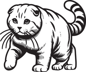 Scottish Fold Cat Vector in black and white