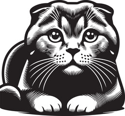 Scottish Fold Cat Vector in black and white