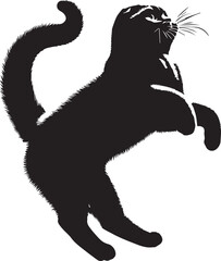 Scottish Fold Cat Vector in black and white