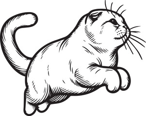 Scottish Fold Cat Vector in black and white
