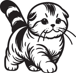 Scottish Fold Cat Vector in black and white