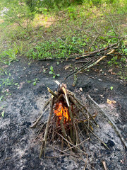 Bonfire burning flame in the forest, camp outdoor
