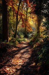 Fototapeta premium autumn in the forest