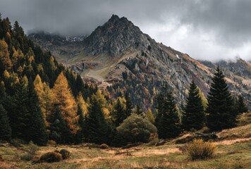 Fototapeta premium mountain landscape in the morning