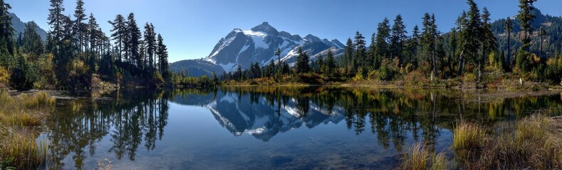 Fototapeta premium reflection of trees in water