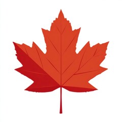 Naklejka premium red maple leaf