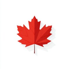 Naklejka premium red maple leaf