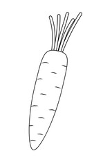 Carrot with cut leaves. Black and white. Summer vegetables. Vector illustration for children's coloring book,  print, menu.