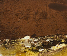 cocoa banoffee wish a base of cushed crackers and bananas