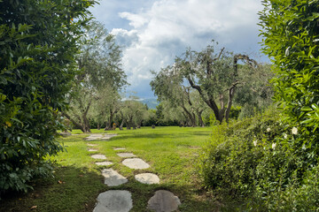 lush green garden with fresh lawn and stone path winding through olive trees under a partly cloudy sky. fresh summer