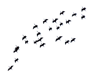 A flock of birds flying in the sky isolated on a white background.