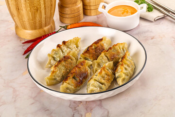 Japanese fried Gyoza stuffed dumplings