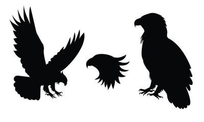 Fototapeta premium Collection of eagle silhouettes in different poses including flying, standing, and sitting. Bold black shapes on a white background, perfect for patriotic themes, wildlife artwork, logos, tattoos.