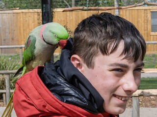 Teenage boy visiting a wildlife park with a parrot sitting on his arm. Tame bird, sanctuary for birds