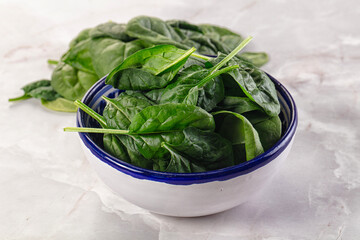 Raw green baby spinach plant