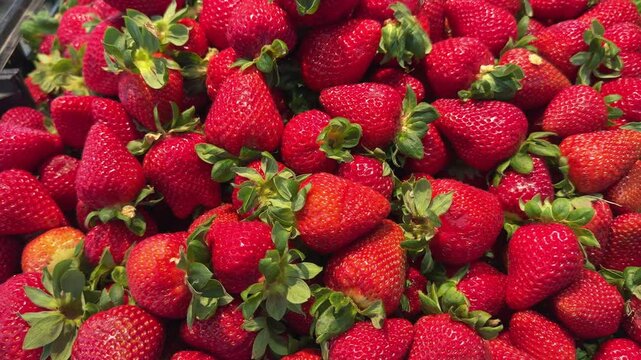 Strawberries on a market stall in Portugal