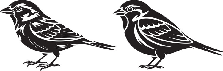 Two sparrows illustration bird drawing wildlife art black and white image silhouette