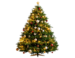 Christmas tree decorated, transparent background.