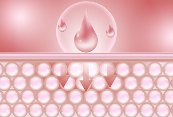 Serum that is absorbed into the deepest layers of the skin