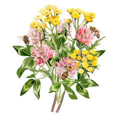 Hand drawn Clover and Tansy bouquet with honeybees