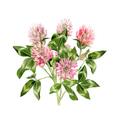 Little Clover bouquet in watercolor