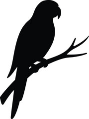 Silhouette parrot on a branch perching exotic bird Vector illustration