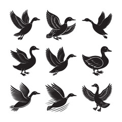 Fototapeta premium silhouettes of flying duck set bundle on the white background