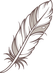 Obraz premium feather on white background