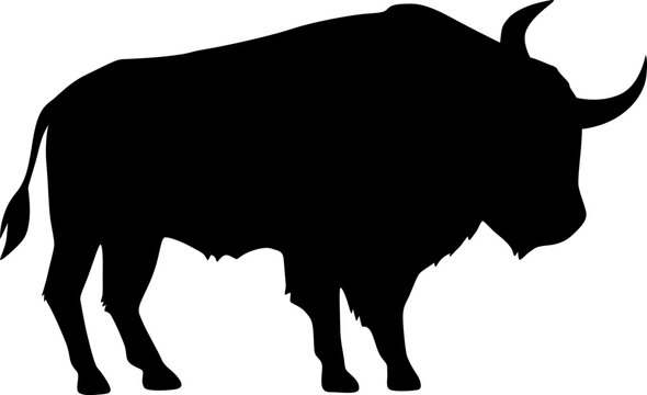 Bison Silhouette

