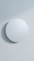 Flat Circular Shape on Pale Gray Surface with Soft Reflections
