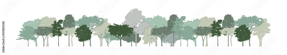 Poster tree section for decorate boarder or architectural drawing