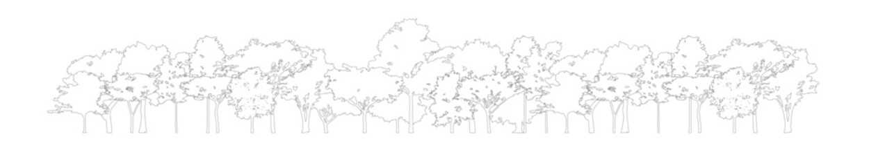tree section for decorate boarder or architectural drawing