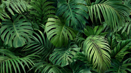 Lush green tropical foliage dense with palm leaves and monstera plants