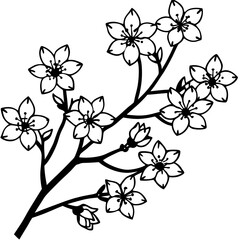 Flat Cherry Blossom Branch on White