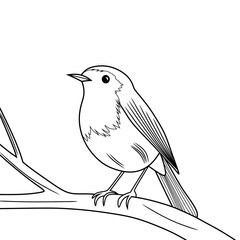 Minimalist Line Art Illustration Of A European Robin Bird On Branch
