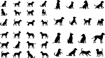 Collection of black vector silhouettes featuring women, men, animals, and diverse sports illustrations including horse jumping, running, and dance