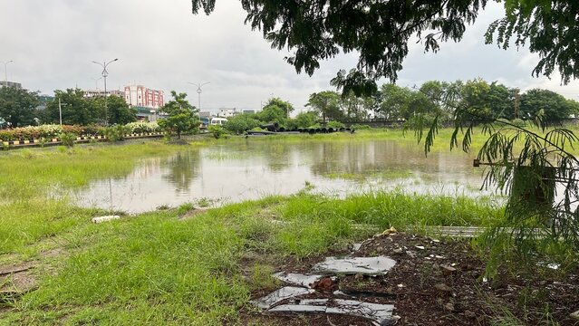 Polluted Wetland Area Surrounded By Green Grassy Field
