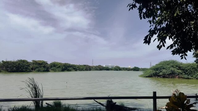 Broad daytime coverage of a healthy wetland surrounded by trees and natural vegetation.