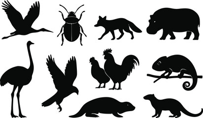 Silhouetted Fauna – A Study in Form and Diversity