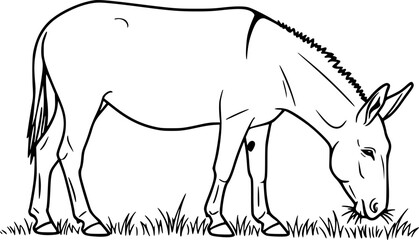 mule eat grass line art silhouette vector illustration
