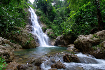 Fototapeta premium Majestic waterfall cascades through lush greenery in a tranquil forest setting