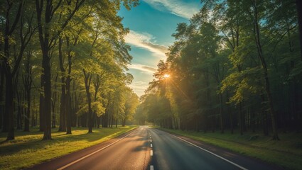 Obraz premium A sunlit road through a lush green forest invites you to explore and discover.