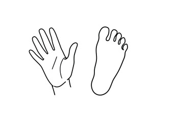Fototapeta premium Hand and foot drawing. It is a black and white outline image of a hand and a foot, representing human extremities and basic body parts. Vector sketch line art draw.