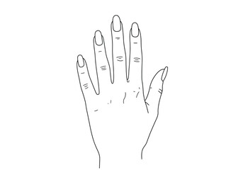 Hand nail drawing. It is a black and white outline image of a hand with visible nails, emphasizing the details of the fingernails. Vector sketch line art draw.
