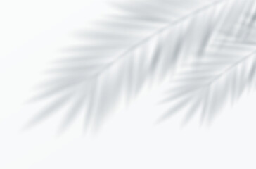 Soft blurred palm leaf shadows cast on a smooth white background. Tranquil and minimalist tropical aesthetic ideal for design projects. Vecrtor illustration.