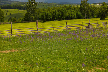 Old Wooden Fence at Traditional Mountain Farms in Romania – Rural Animal Keeping and Agricultural...