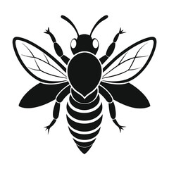 Striking Black and White Bee Illustration A Vector Graphic Design of a Honeybee