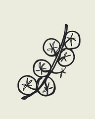 Hand drawn doodle sketch vector of cherry tomatoes on vine in mediterranean dolce vita style